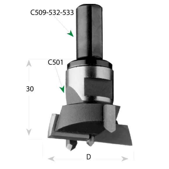 CMT C501 Sukovník skrutkovací výmenný - D25 L30 HW P